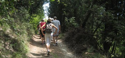 Naturveda 2011